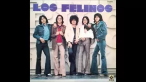 ¿Necesitas saber cual es el precio de Los Felinos? Solicita informes, contrataciones, somo promotores autorizados.