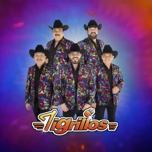 ¿Necesitas saber cual es el precio de Los Tigrillos? Solicita informes, contrataciones, somo promotores autorizados.